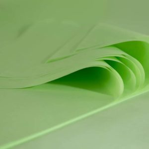 feuille-papier-de-soie-vert-pastel-premium-01