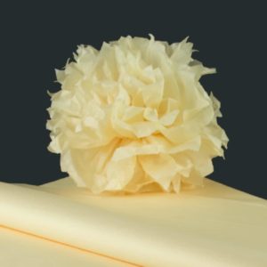 feuille-papier-de-soie-vanille-premium-05