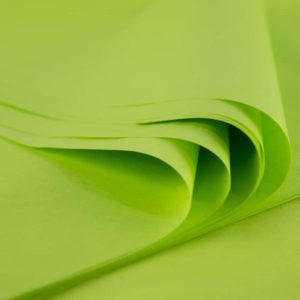 feuille-papier-de-soie-vert-nacre-premium-01